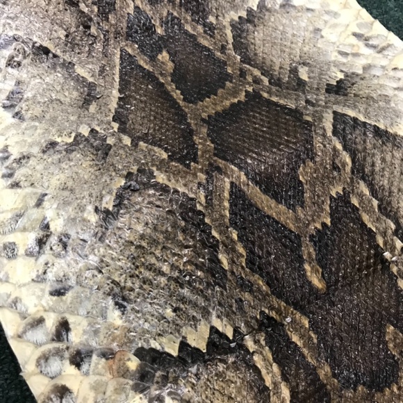 Authentic Burmese Python Pelt approx 10.5’ - Picture 2 of 3